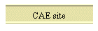 CAE site